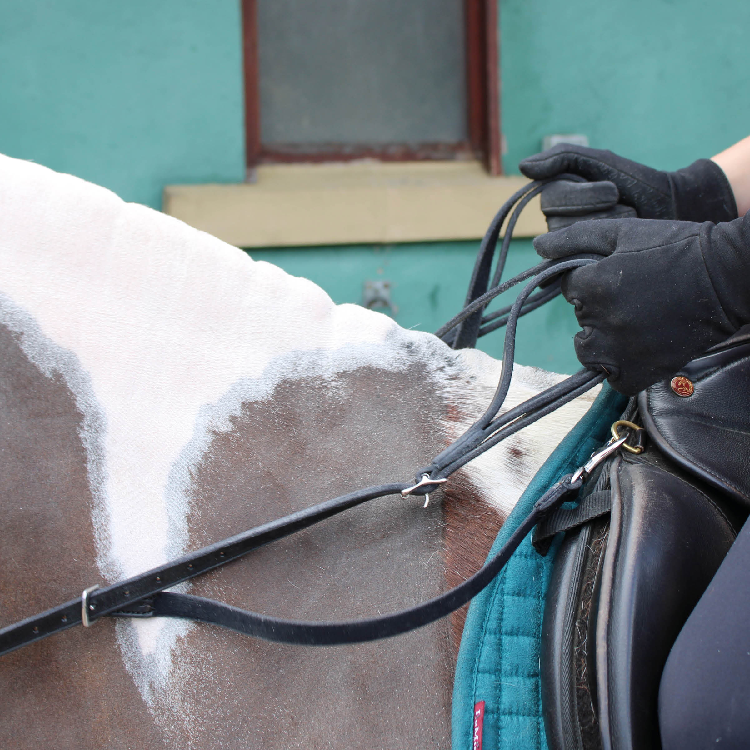 Loop Handle Reins - Balanced Support Reins