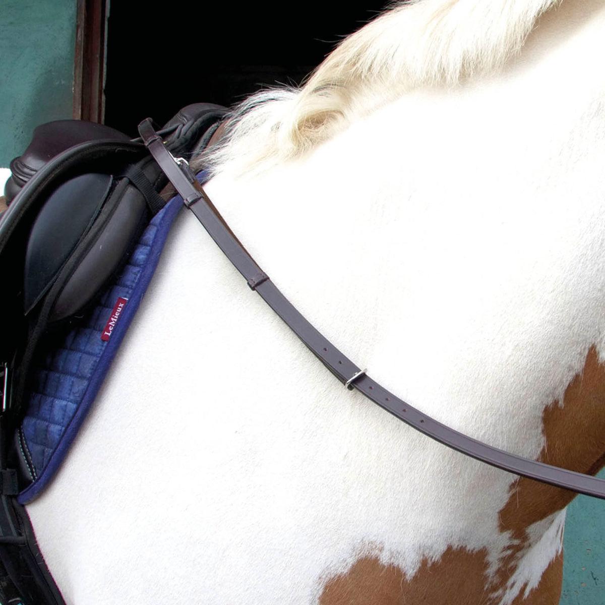 How do Balanced Support Reins differ from daisy reins or grass reins?