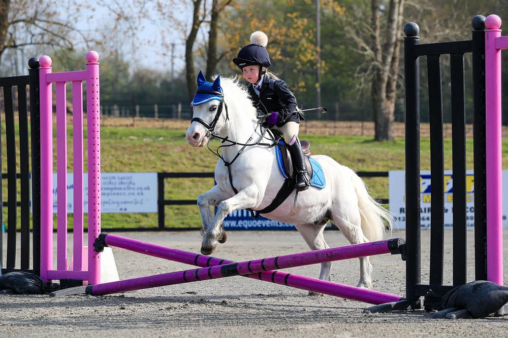 Balanced Support Reins Testimonials – BalancedSupportReins™