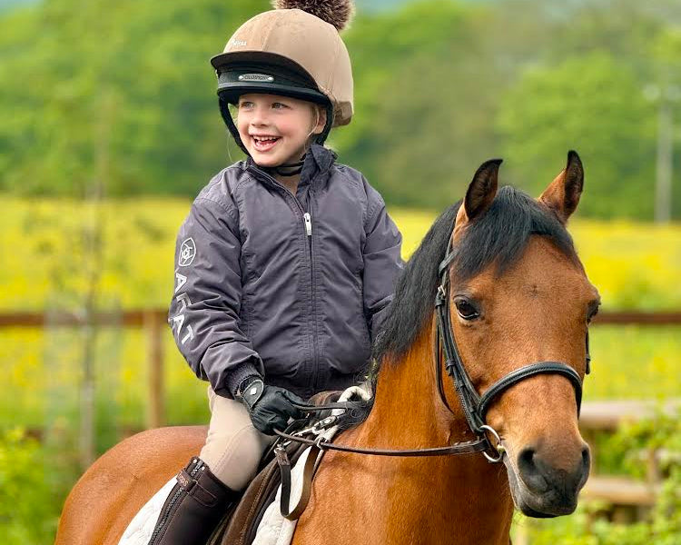 Balanced Support Reins