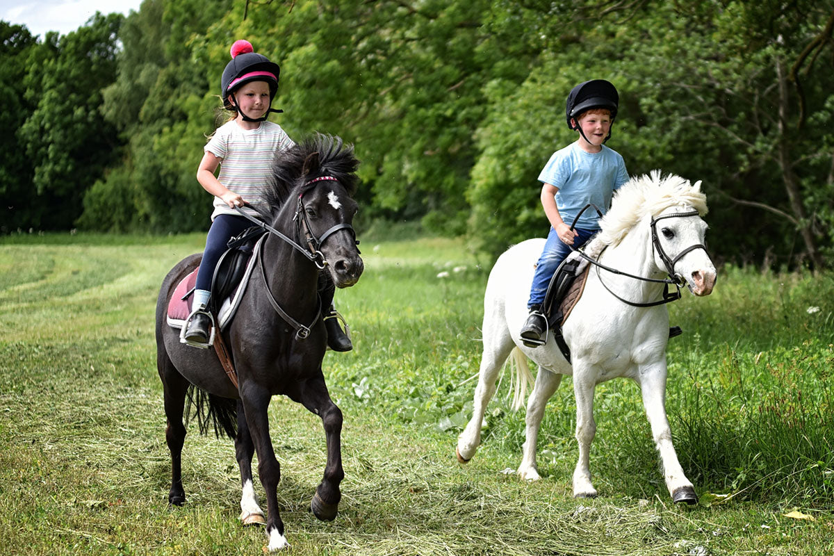 Balanced Support Reins Horse Reins to promote control and confidence
