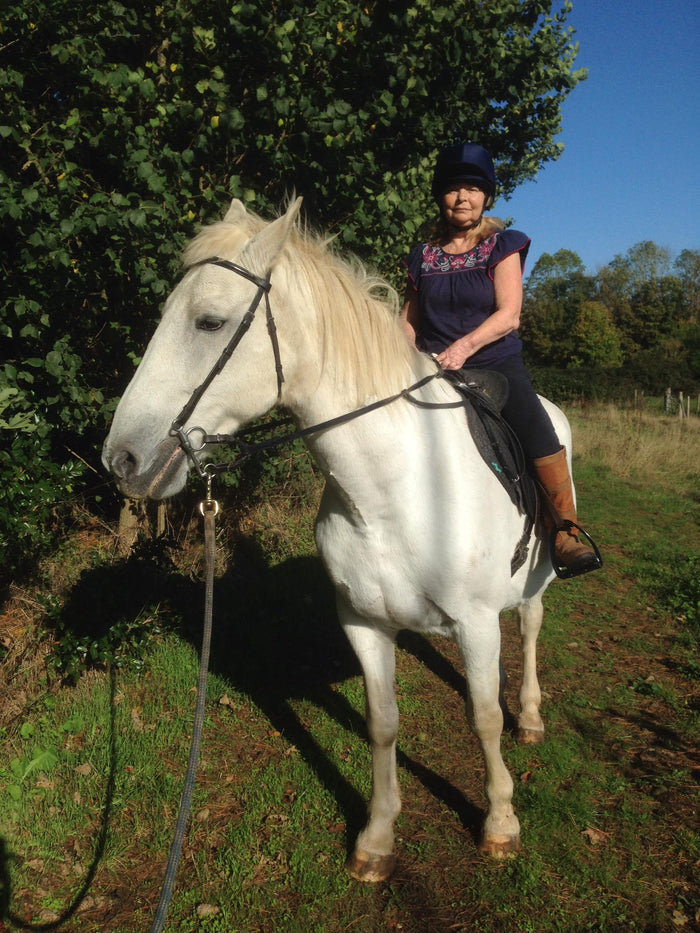 Balanced Support Reins Testimonials – BalancedSupportReins™