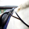 Close up of horse wearing balanced support reins