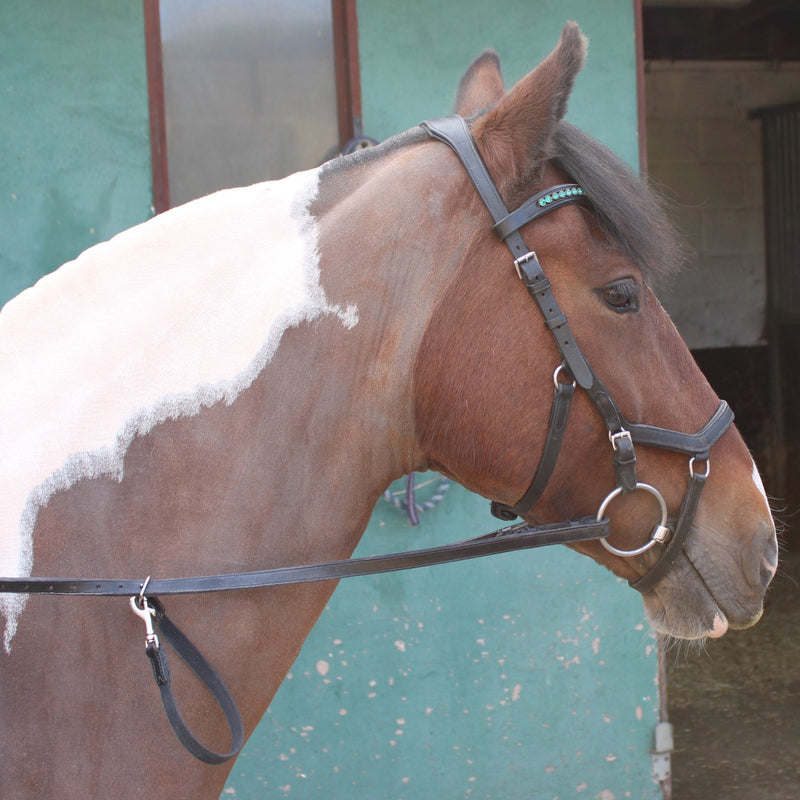 Horse wearing Balanced Support Reins